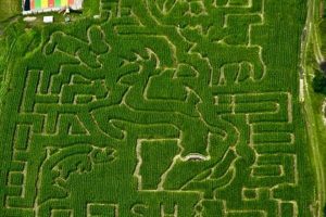 Discover Gaines Family Farm: A Legacy Farm in [State] | The Conscious Farmer | Sustainable Agriculture for a Healthier Planet