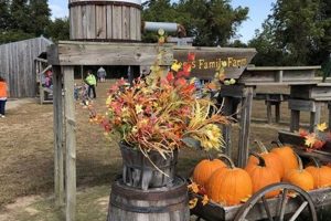 Visit Beggs Family Farm Sikeston: Fun on the Farm! | The Conscious Farmer | Sustainable Agriculture for a Healthier Planet