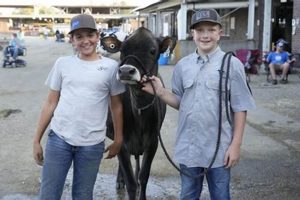 Boost Your Farm: USDA Small Family Farms Support Plan Guide! | The Conscious Farmer | Sustainable Agriculture for a Healthier Planet