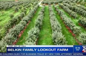 Discover: Belkin Family Farm - Your Local Farm Fresh | The Conscious Farmer | Sustainable Agriculture for a Healthier Planet