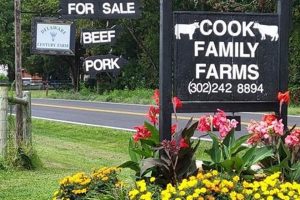 Growing Cook Family Farms: Legacy & Sustainability | The Conscious Farmer | Sustainable Agriculture for a Healthier Planet