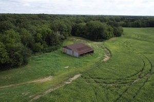 Cook Family Farm | The Conscious Farmer | Sustainable Agriculture for a Healthier Planet