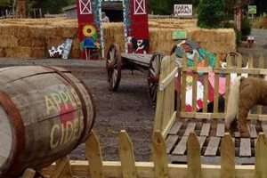 Visit Manza Family Farm - Montgomery NY's Best! | The Conscious Farmer | Sustainable Agriculture for a Healthier Planet