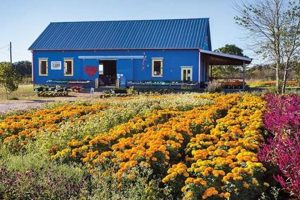 Visit Arnosky Family Farm: Fresh & Local Produce! | The Conscious Farmer | Sustainable Agriculture for a Healthier Planet