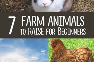Top Easiest Farm Animals to Raise For Profit: A Guide | The Conscious Farmer | Sustainable Agriculture for a Healthier Planet