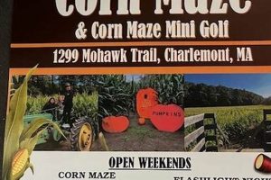 Visit Hicks Family Farm Corn Maze: A-Maze-ing Fun! | The Conscious Farmer | Sustainable Agriculture for a Healthier Planet