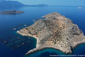 Discover Farm Rhodes Greece: A Family Legacy | The Conscious Farmer | Sustainable Agriculture for a Healthier Planet