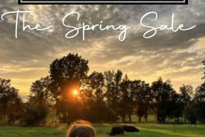 Discover Yon Family Farm: Legacy &amp; Sustainability | The Conscious Farmer | Sustainable Agriculture for a Healthier Planet