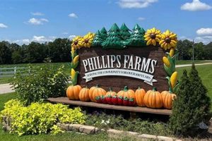 Discover Phillips Family Farm: Fresh & Local Produce | The Conscious Farmer | Sustainable Agriculture for a Healthier Planet