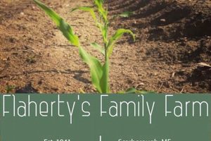 Flaherty's Family Farm Inc: [Area] Local Farms & Produce | The Conscious Farmer | Sustainable Agriculture for a Healthier Planet