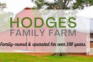 A Guide to Hodge Family Farm: Traditions and Legacy | The Conscious Farmer | Sustainable Agriculture for a Healthier Planet