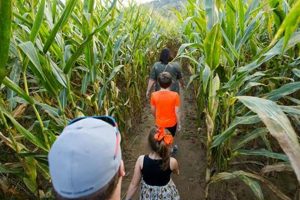 A Cooper Family Farm Corn Maze Guide: Fall Fun! | The Conscious Farmer | Sustainable Agriculture for a Healthier Planet