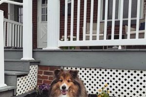 Hagerstown MD Farm and Family: Sustaining Local Farms! | The Conscious Farmer | Sustainable Agriculture for a Healthier Planet