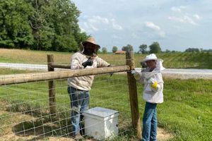 Grow with York Family Farms: Fresh & Local | The Conscious Farmer | Sustainable Agriculture for a Healthier Planet