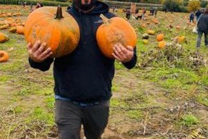 Visit Schilter Family Farm: Olympia's Best Pumpkin Patch & More! | The Conscious Farmer | Sustainable Agriculture for a Healthier Planet