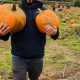 Visit Schilter Family Farm: Olympia's Best Pumpkin Patch & More! | The Conscious Farmer | Sustainable Agriculture for a Healthier Planet