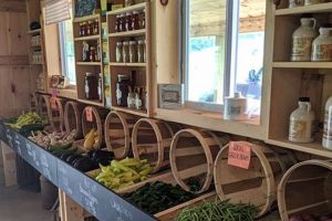 Boltz Family Farms: Sustainable Family Farming Today | The Conscious Farmer | Sustainable Agriculture for a Healthier Planet