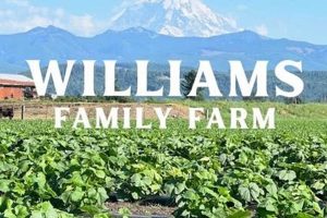 Your Guide to Williams Family Farms: Local & Sustainable! | The Conscious Farmer | Sustainable Agriculture for a Healthier Planet