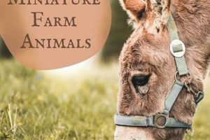 A Guide to Mini Farm Animals: Breeds & Care Tips | The Conscious Farmer | Sustainable Agriculture for a Healthier Planet