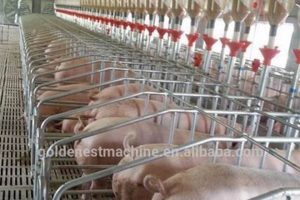 Essential Hog Farm Equipment: Your Guide + More | The Conscious Farmer | Sustainable Agriculture for a Healthier Planet