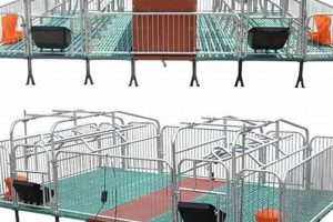 Optimize Swine Farm Equipment: Must-Have Supplies & Solutions | The Conscious Farmer | Sustainable Agriculture for a Healthier Planet