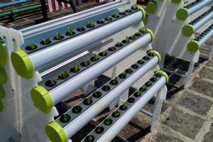 Grow Like a Pro: Hydroponic Farm Equipment Guide | The Conscious Farmer | Sustainable Agriculture for a Healthier Planet