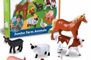 Guide to Farm Animals Learning Resources: A-Z | The Conscious Farmer | Sustainable Agriculture for a Healthier Planet