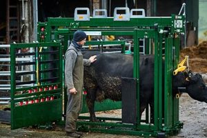 Top Sheep Farming Equipment Guide +Must-Haves | The Conscious Farmer | Sustainable Agriculture for a Healthier Planet