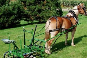 Vintage Horse Drawn Farm Equipment: History & Use | The Conscious Farmer | Sustainable Agriculture for a Healthier Planet
