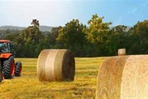 Beck's Farm Equipment: Top Gear for Modern Farms! | The Conscious Farmer | Sustainable Agriculture for a Healthier Planet
