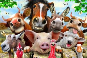 Farm Animal Wallpaper: Rustic Charm for Your Walls! | The Conscious Farmer | Sustainable Agriculture for a Healthier Planet