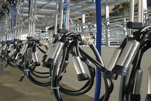 Top-Rated Dairy Farming Equipment: Solutions & Supplies | The Conscious Farmer | Sustainable Agriculture for a Healthier Planet