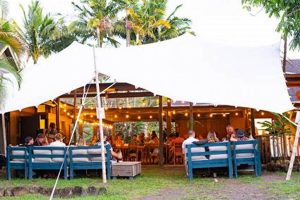 Kauai's Farm to Table: A Local Food Paradise | The Conscious Farmer | Sustainable Agriculture for a Healthier Planet