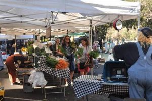 Eat Local: Farm to Table Palo Alto - Guide &amp; Reviews | The Conscious Farmer | Sustainable Agriculture for a Healthier Planet