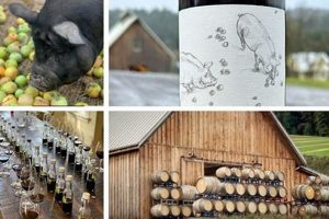 Unlocking Big Table Farm Winery: A Terroir-Driven Delight | The Conscious Farmer | Sustainable Agriculture for a Healthier Planet
