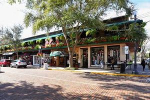 Your Guide: Farm-to-Table Restaurants in Winter Park, FL Today | The Conscious Farmer | Sustainable Agriculture for a Healthier Planet