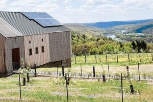 Your Guide: Farm to Table Westchester & Local Farms | The Conscious Farmer | Sustainable Agriculture for a Healthier Planet