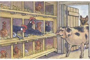 Chapter 7 Animal Farm Summary: Control & Corruption | The Conscious Farmer | Sustainable Agriculture for a Healthier Planet