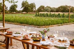 Local Farm-to-Table Restaurant: Fresh & Delicious! | The Conscious Farmer | Sustainable Agriculture for a Healthier Planet