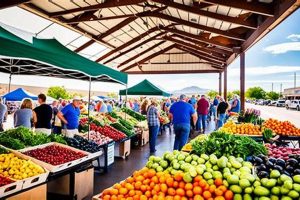A Guide to Farm to Table San Antonio: Fresh & Local | The Conscious Farmer | Sustainable Agriculture for a Healthier Planet