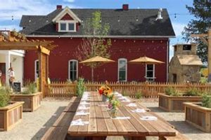 Rustic Charm: Farm Table Fort Collins - Your Guide! | The Conscious Farmer | Sustainable Agriculture for a Healthier Planet