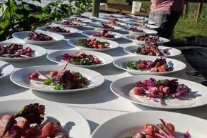 Spokane Farm to Table: Local Harvests, Fresh Plates | The Conscious Farmer | Sustainable Agriculture for a Healthier Planet