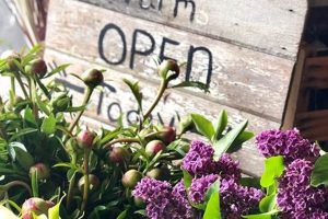 Grow Local: Crowley House Flower Farm Blooms | The Conscious Farmer | Sustainable Agriculture for a Healthier Planet