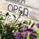 Grow Local: Crowley House Flower Farm Blooms | The Conscious Farmer | Sustainable Agriculture for a Healthier Planet