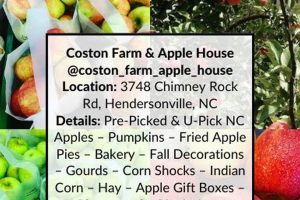 Your Guide to Coston Farm & Apple House: [Location/Season] | The Conscious Farmer | Sustainable Agriculture for a Healthier Planet