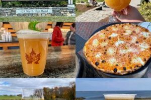 Visit: Tree House Farm Brewery & Local Craft Brews! | The Conscious Farmer | Sustainable Agriculture for a Healthier Planet