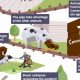 Animal Farm: Chapter 10 Summary & Analysis [Ending] | The Conscious Farmer | Sustainable Agriculture for a Healthier Planet