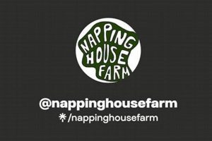 Serene Napping House Farm Retreat: Farm Stay Bliss | The Conscious Farmer | Sustainable Agriculture for a Healthier Planet