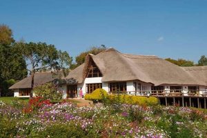 Farm Stay Guide: Ngorongoro Farm House Tanzania Tips! | The Conscious Farmer | Sustainable Agriculture for a Healthier Planet