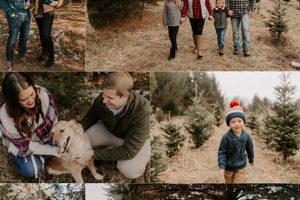 Discover: Cupola House Tree Farm Guide & Tips | The Conscious Farmer | Sustainable Agriculture for a Healthier Planet